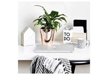 Курс по ведению блога. От создателя проекта Вдохновение и блога Essentialism