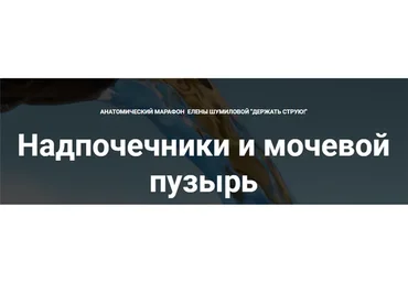 Надпочечники и мочевой пузырь (Елена Шумилова)