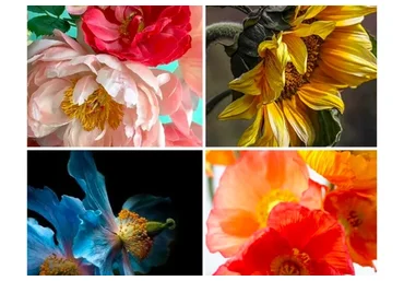 [Студия живописи] Макро цветы, пакет «Необходимый минимум» (Ольга Базанова)