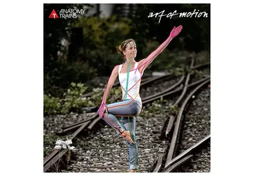 [Artofmotion] Анатомические поезда в движении (Анна Селиверстова, Александра Кибзий)