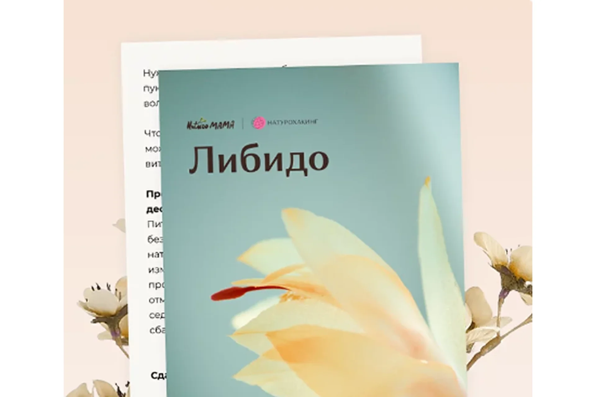 Рекомендации для увеличения уровня либидо (Вероника Хуснутдинова), фото 1 из 1.