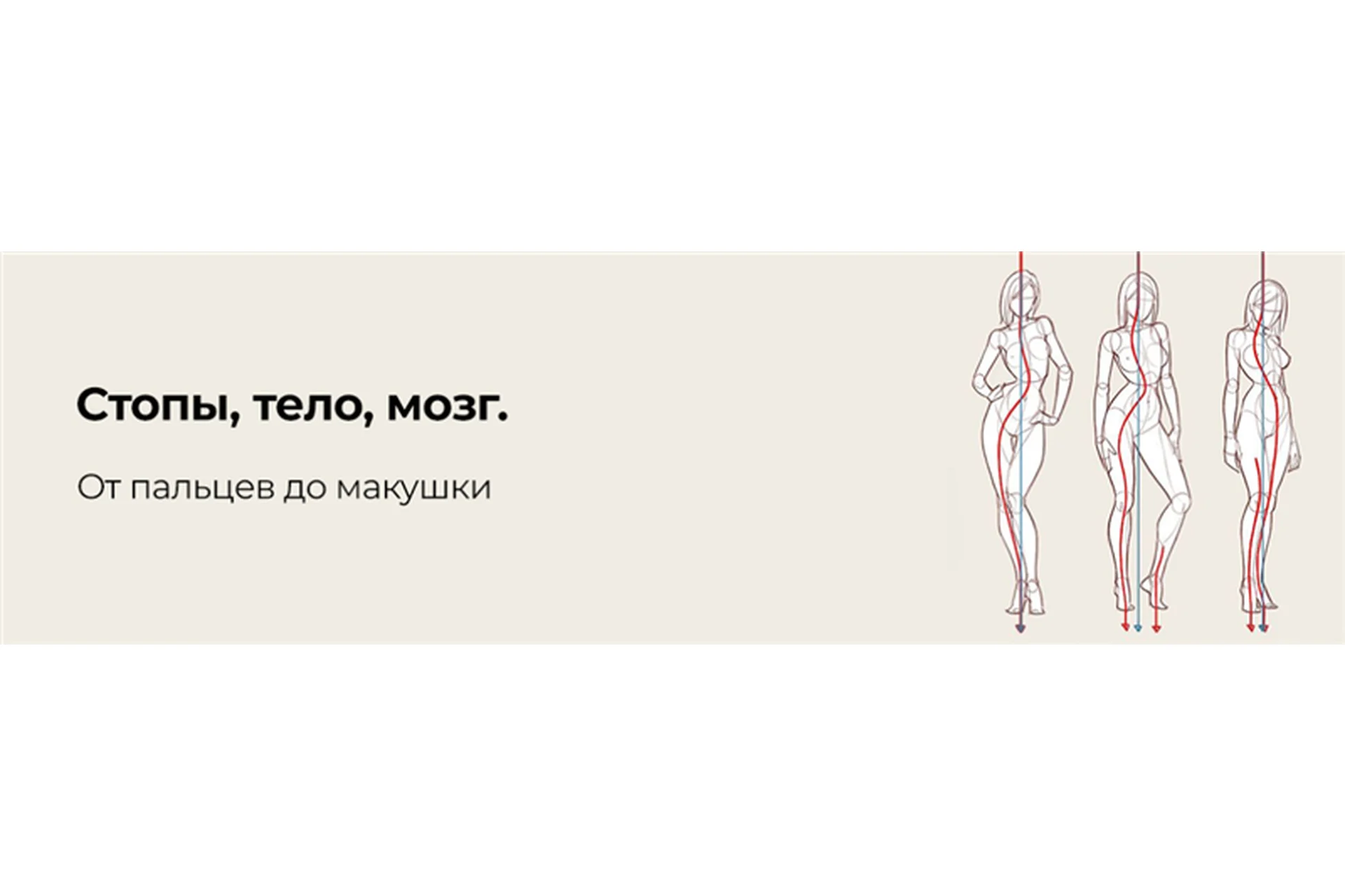 [disintez] Стопы, тело, мозг. От пальцев до макушки, фото 1 из 1.