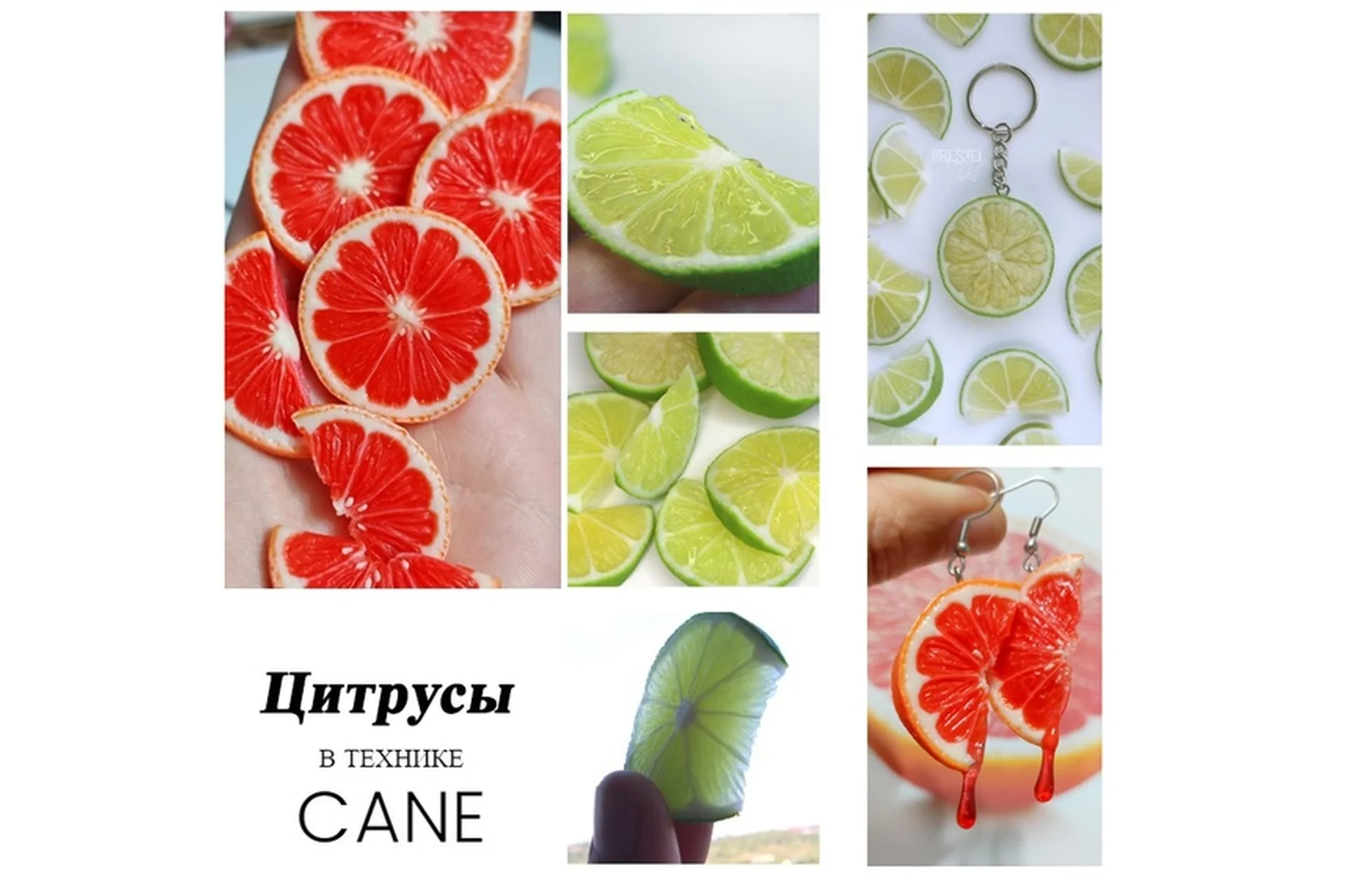 [Insane sanity] Мастер-класс по цитрусам (Эльвина Брестель), фото 1 из 1.