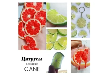 [Insane sanity] Мастер-класс по цитрусам (Эльвина Брестель)