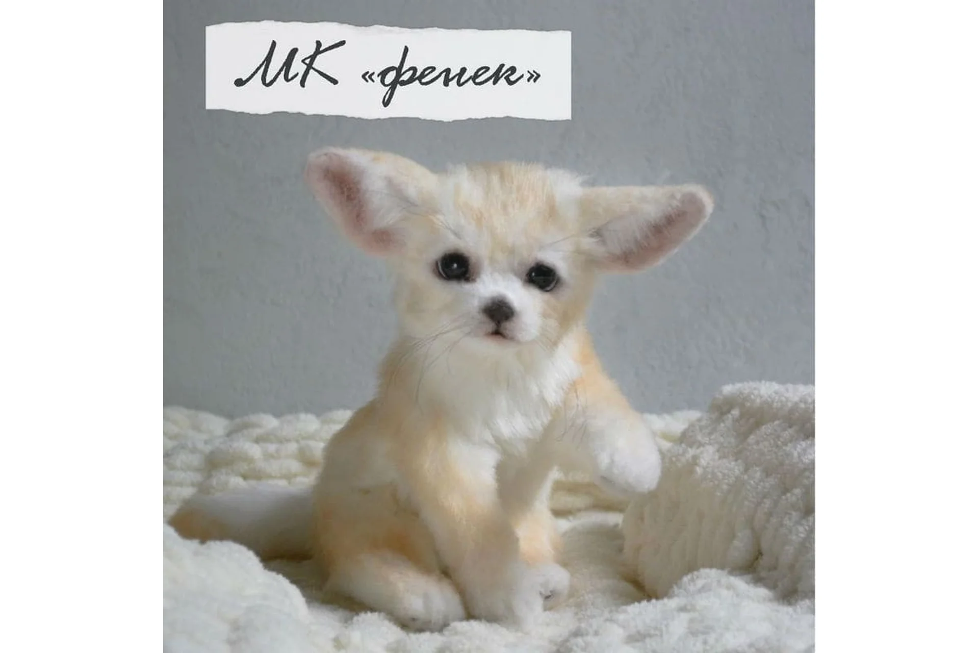 [Home Fellows] Фенек (Юлия Зубарева), фото 1 из 1.