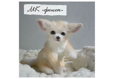 [Home Fellows] Фенек (Юлия Зубарева)