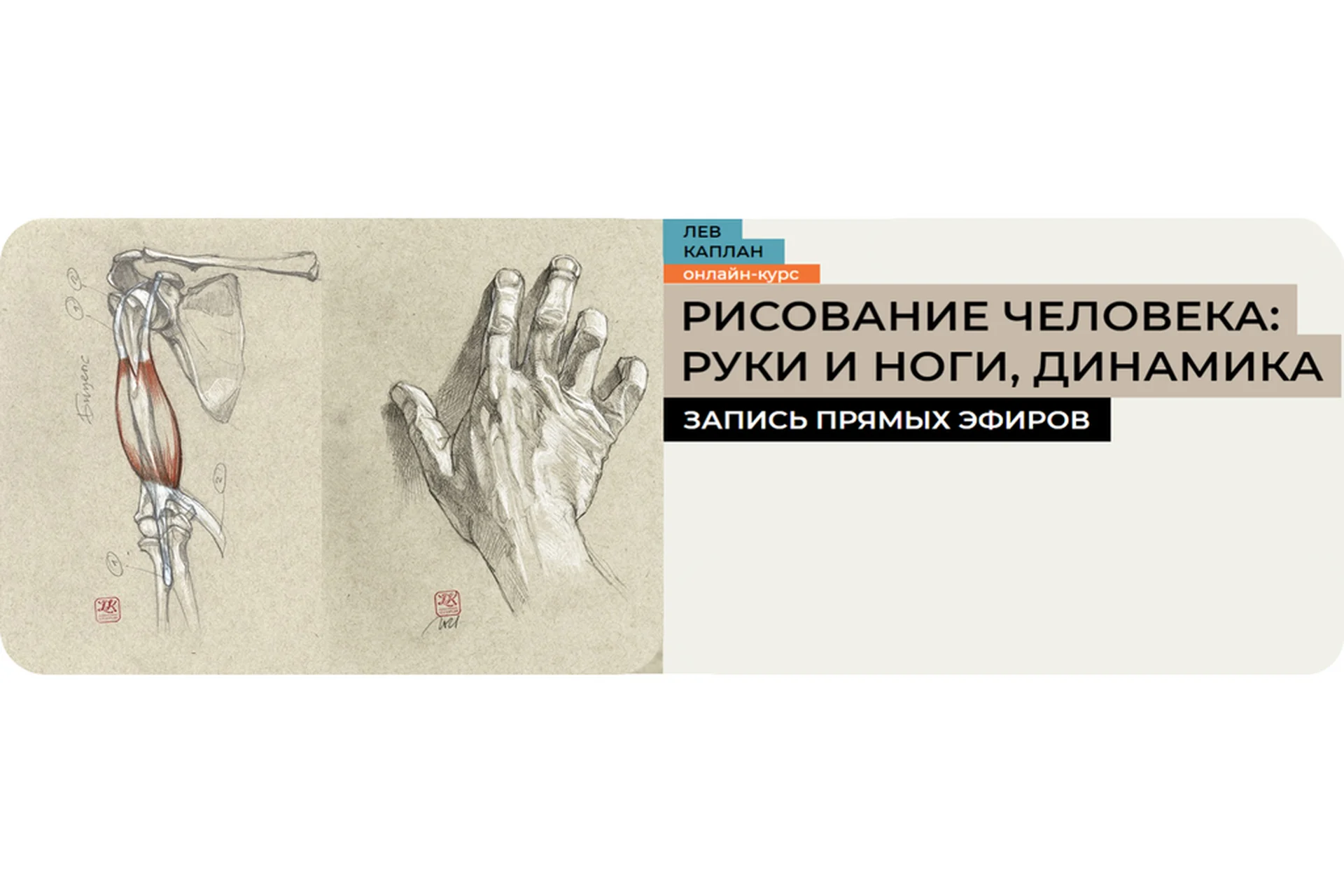 [Enterclass] Рисование человека: верхние и нижние конечности, динамика (Лев Каплан), фото 1 из 1.
