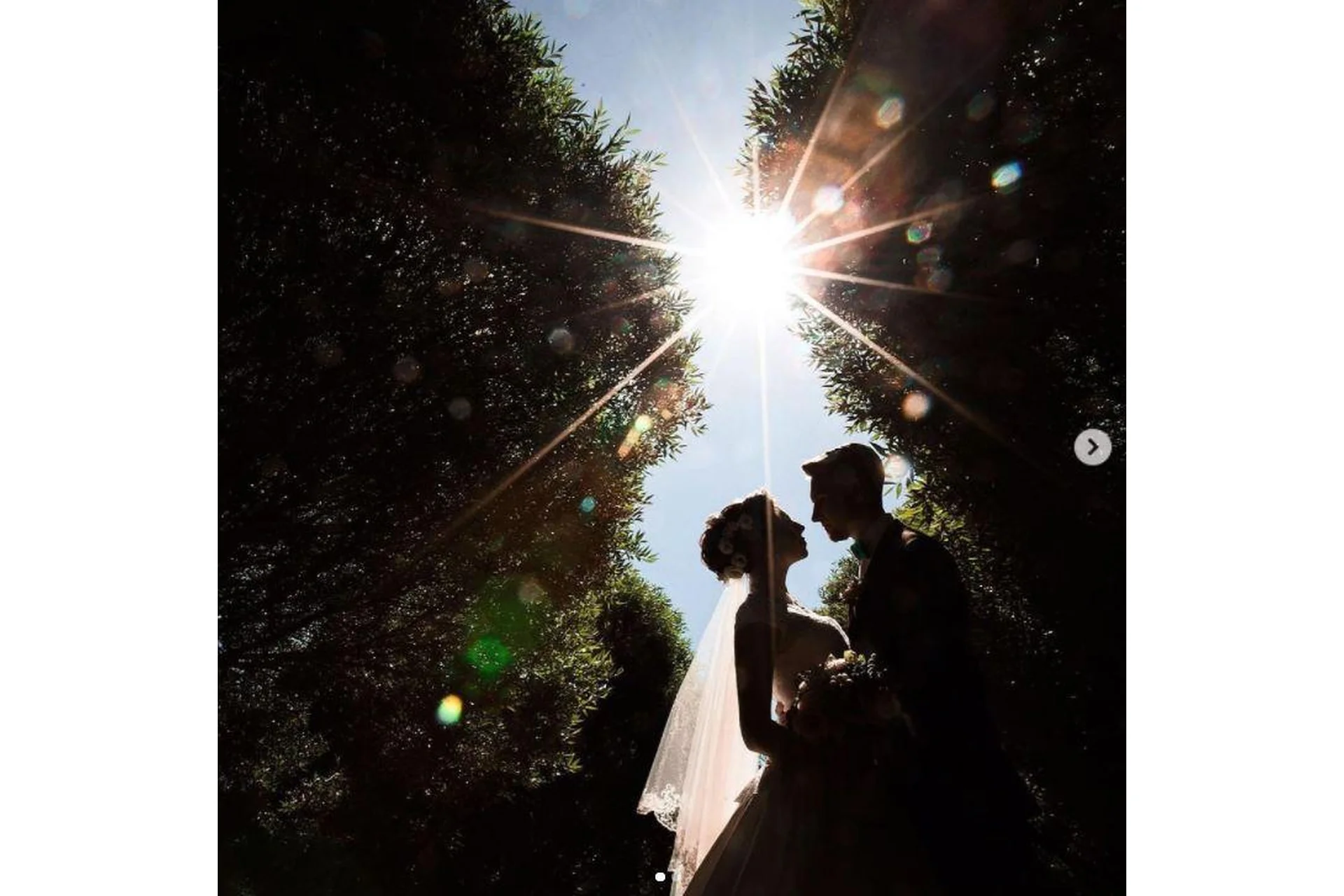 Как снять свадьбу (Василий Ковалев), фото 1 из 1.