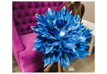 Пуансеттия (Юлия Прохорова)