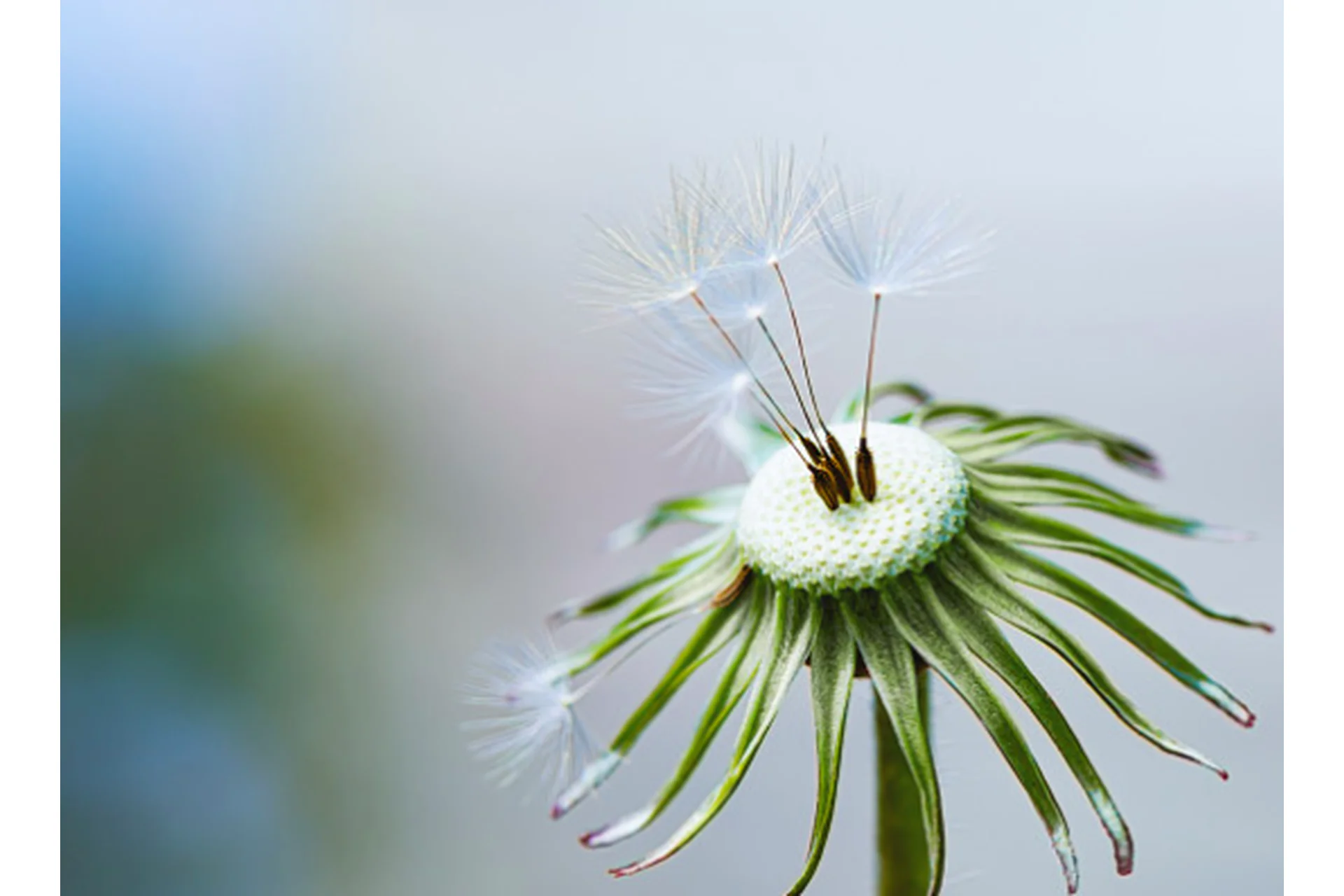 Нужда в деньгах (Инга Ким), фото 1 из 1.