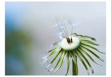 Нужда в деньгах (Инга Ким)