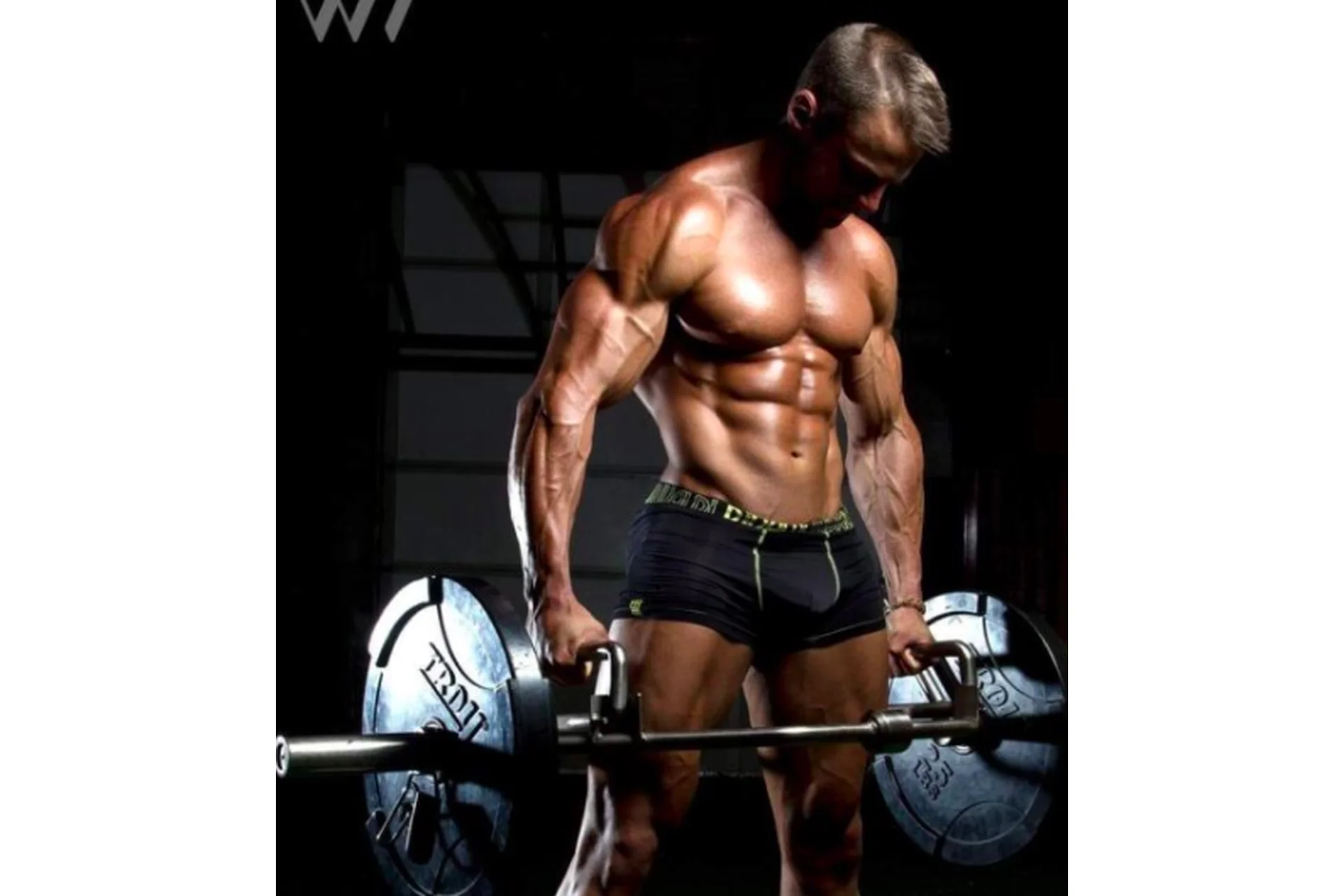 Набор мышц всего тела. Ноги, грудь, спина, руки, плечи (Данил Кабуров), фото 1 из 1.