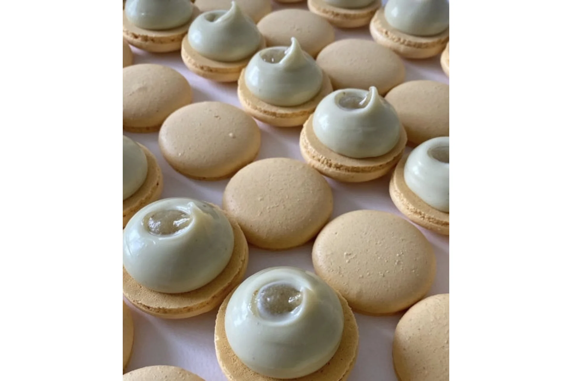 Начинки макарон, сборник 5 (Людмила Гуркова, nataliemereacre), фото 1 из 1.