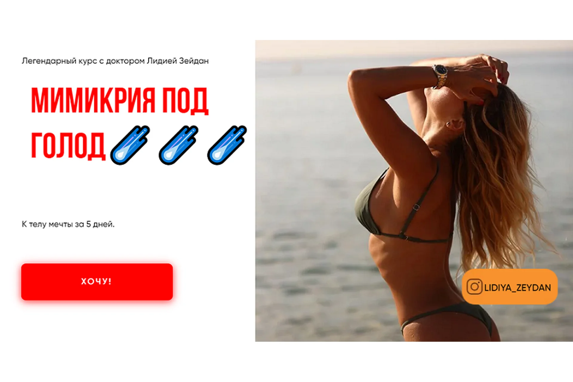 [Body Lab] Мимикрия под голод. Тариф Лайт (Лидия Зейдан), фото 1 из 1.