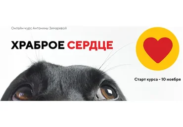 [Kinolog School] Храброе сердце. Тариф - Один дома (Антонина Зимарева)