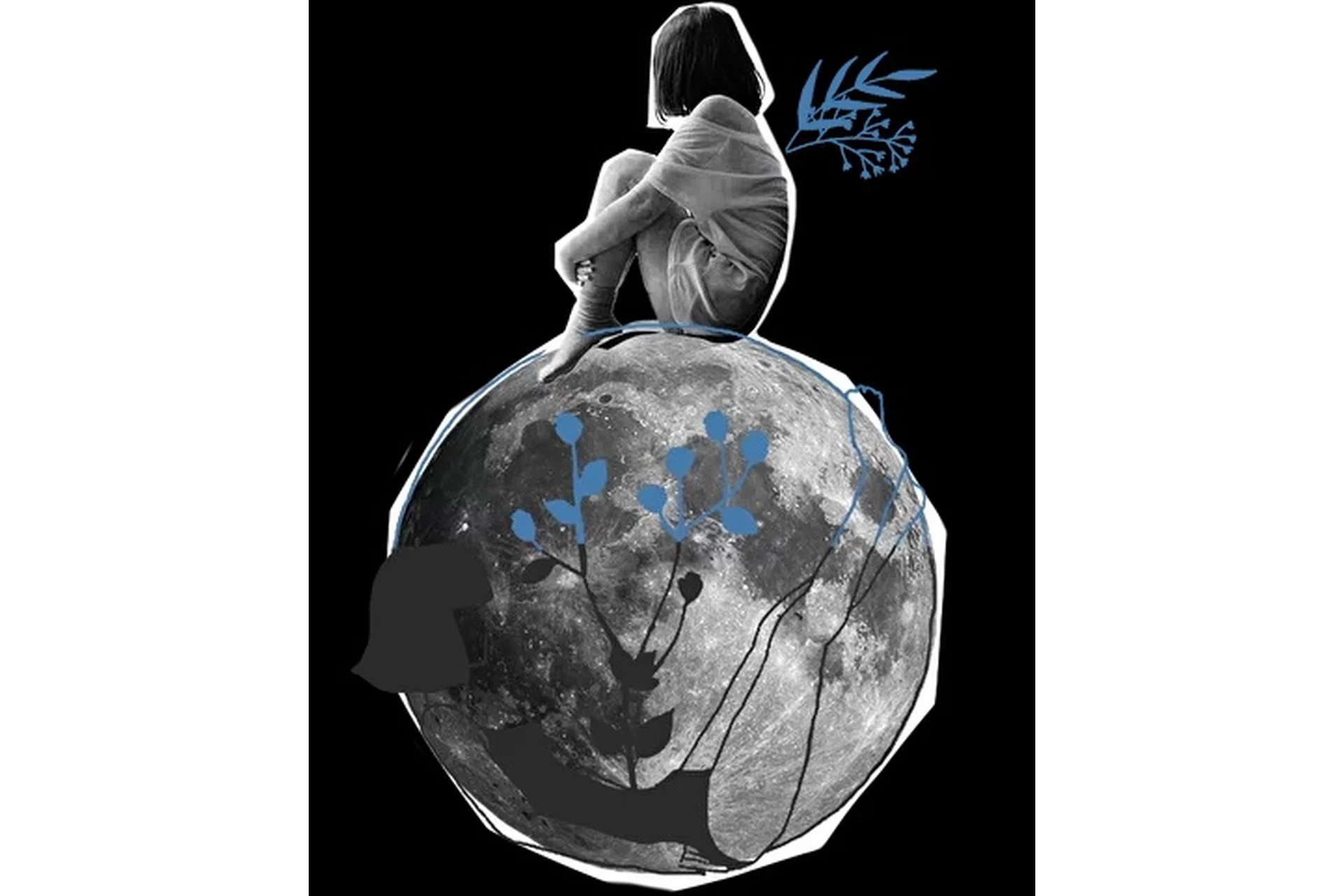 Роман с пустотой. Тариф Лекционный (Аглая Датешидзе), фото 1 из 1.