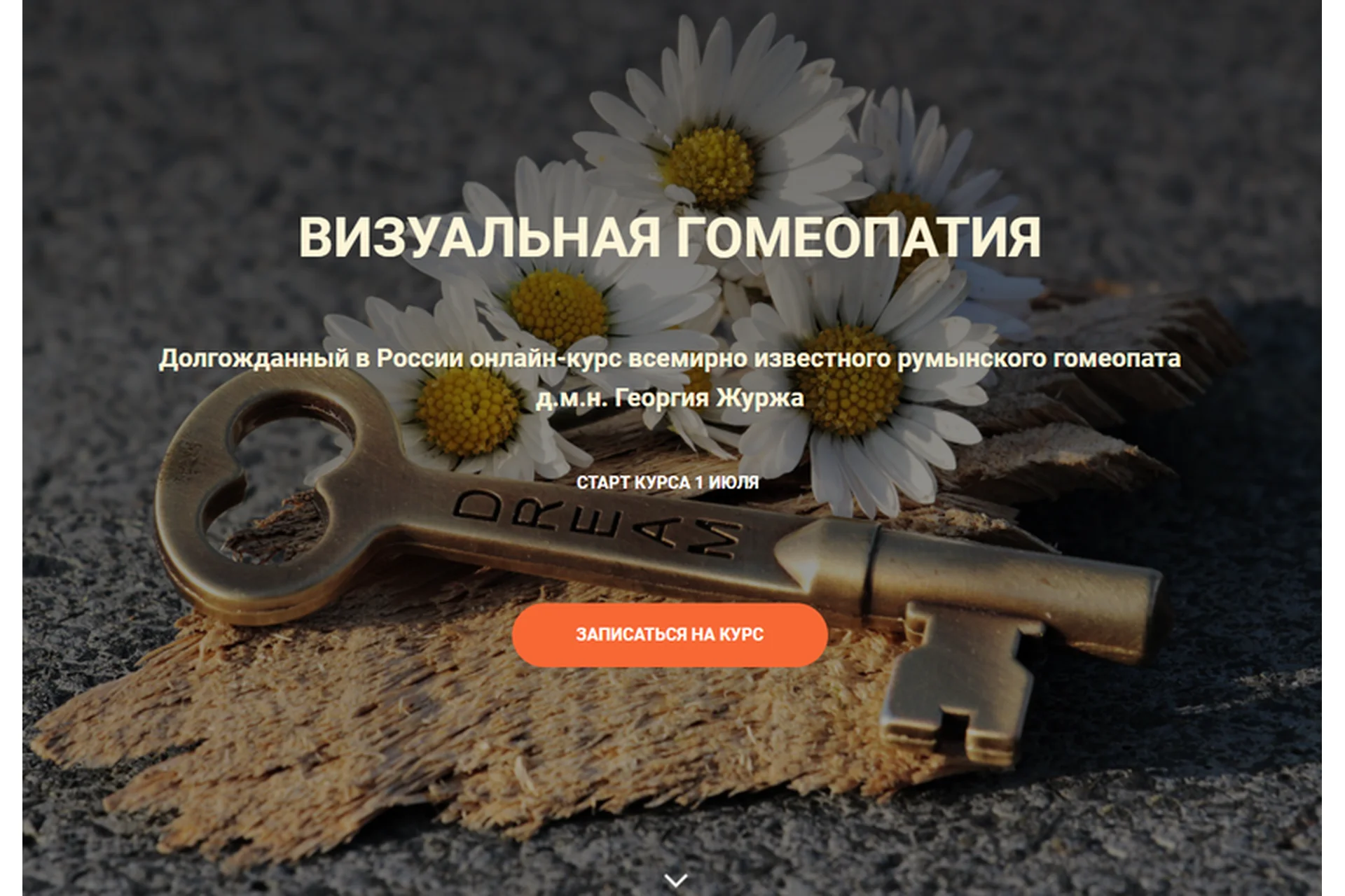 Визуальная гомеопатия. Тариф «3 занятие» (Георгий Журж), фото 1 из 1.