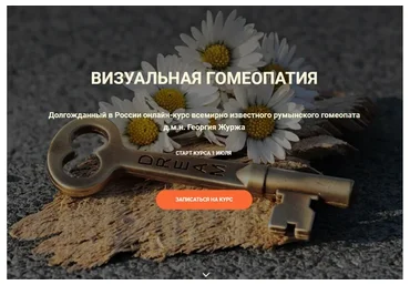 Визуальная гомеопатия. Тариф «3 занятие» (Георгий Журж)