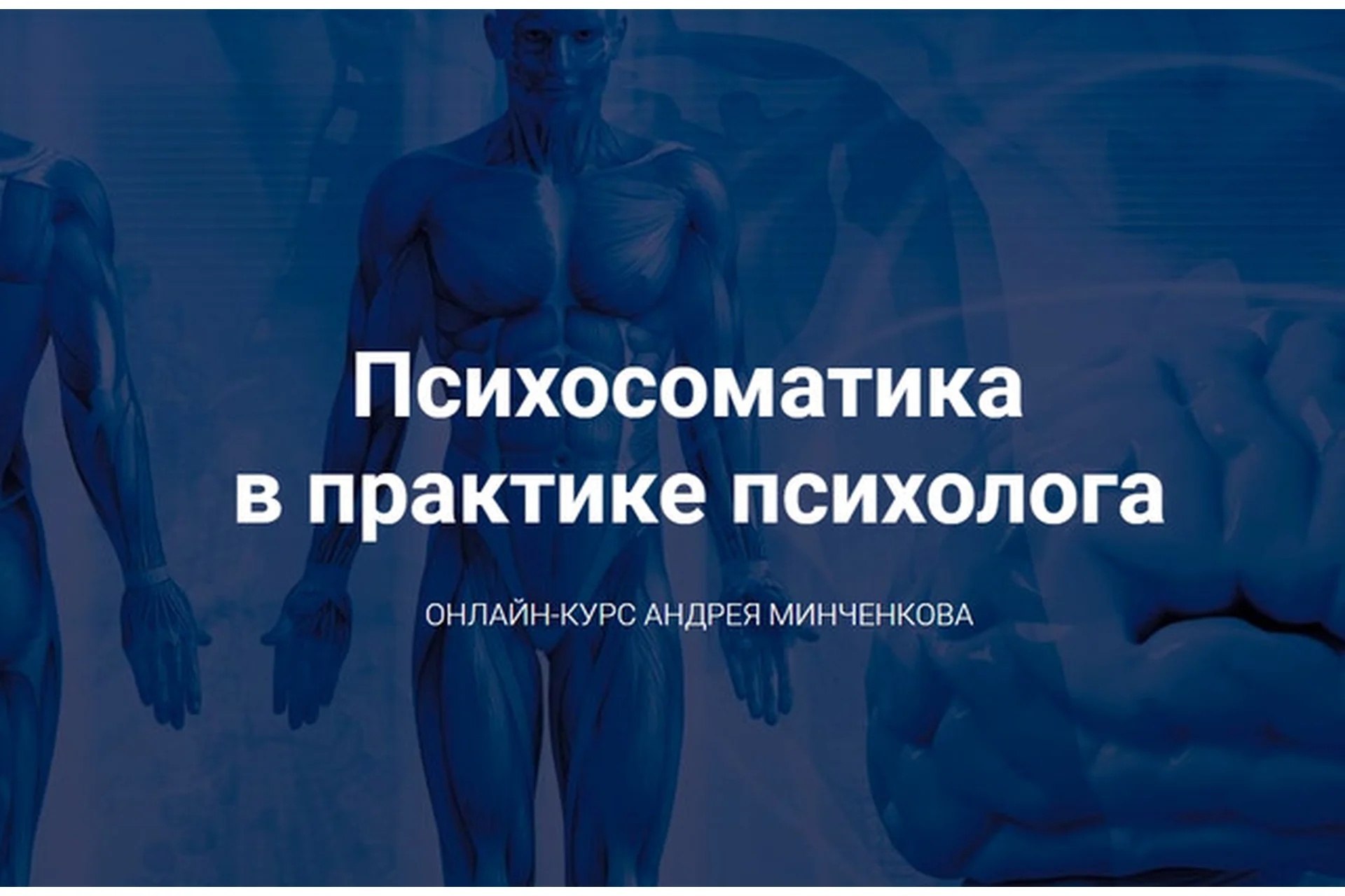 Психосоматика в практике психолога (Андрей Минченков), фото 1 из 1.