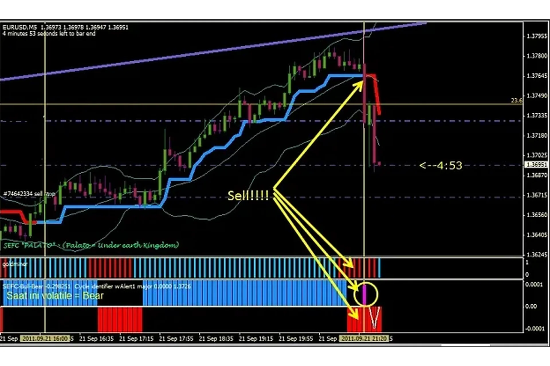 TTS Trend Trader System 2019, фото 1 из 1.