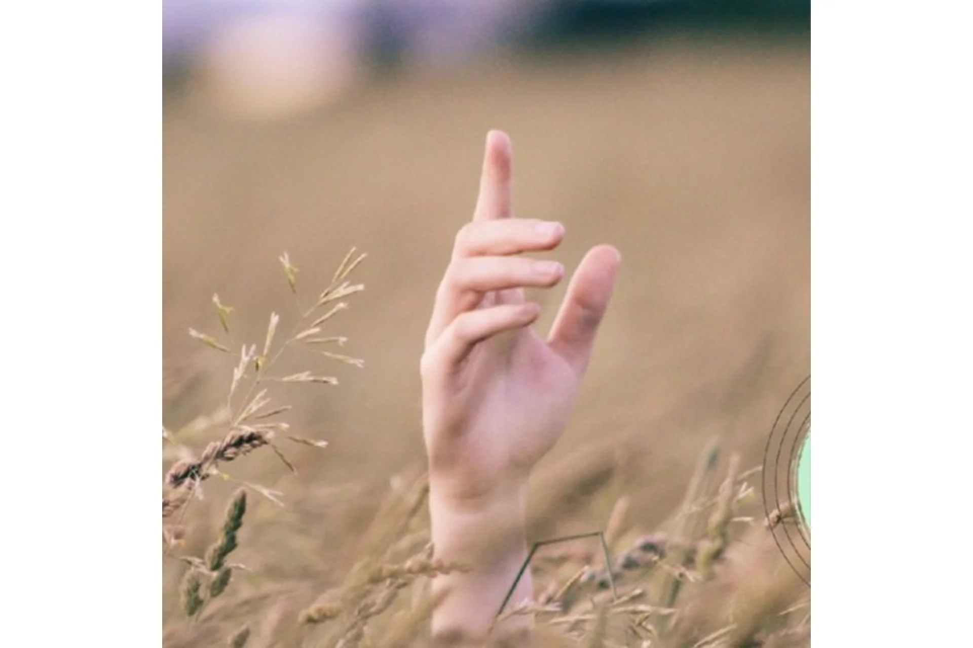 Прикоснуться к Природе. Курс по заготовки растений (Анна Попова), фото 1 из 1.