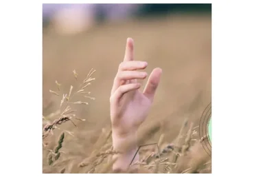 Прикоснуться к Природе. Курс по заготовки растений (Анна Попова)