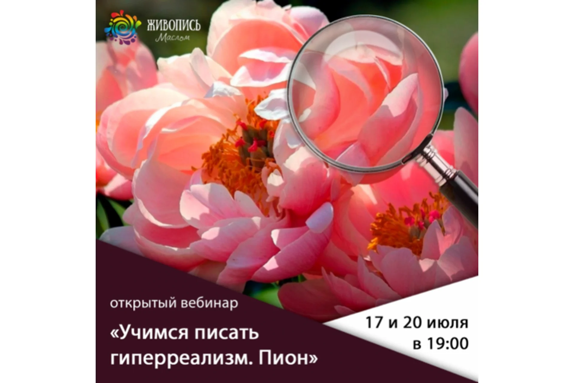 [Школа живописи маслом] Учимся писать гиперреализм. Пион (Надежда Ильина), фото 1 из 1.