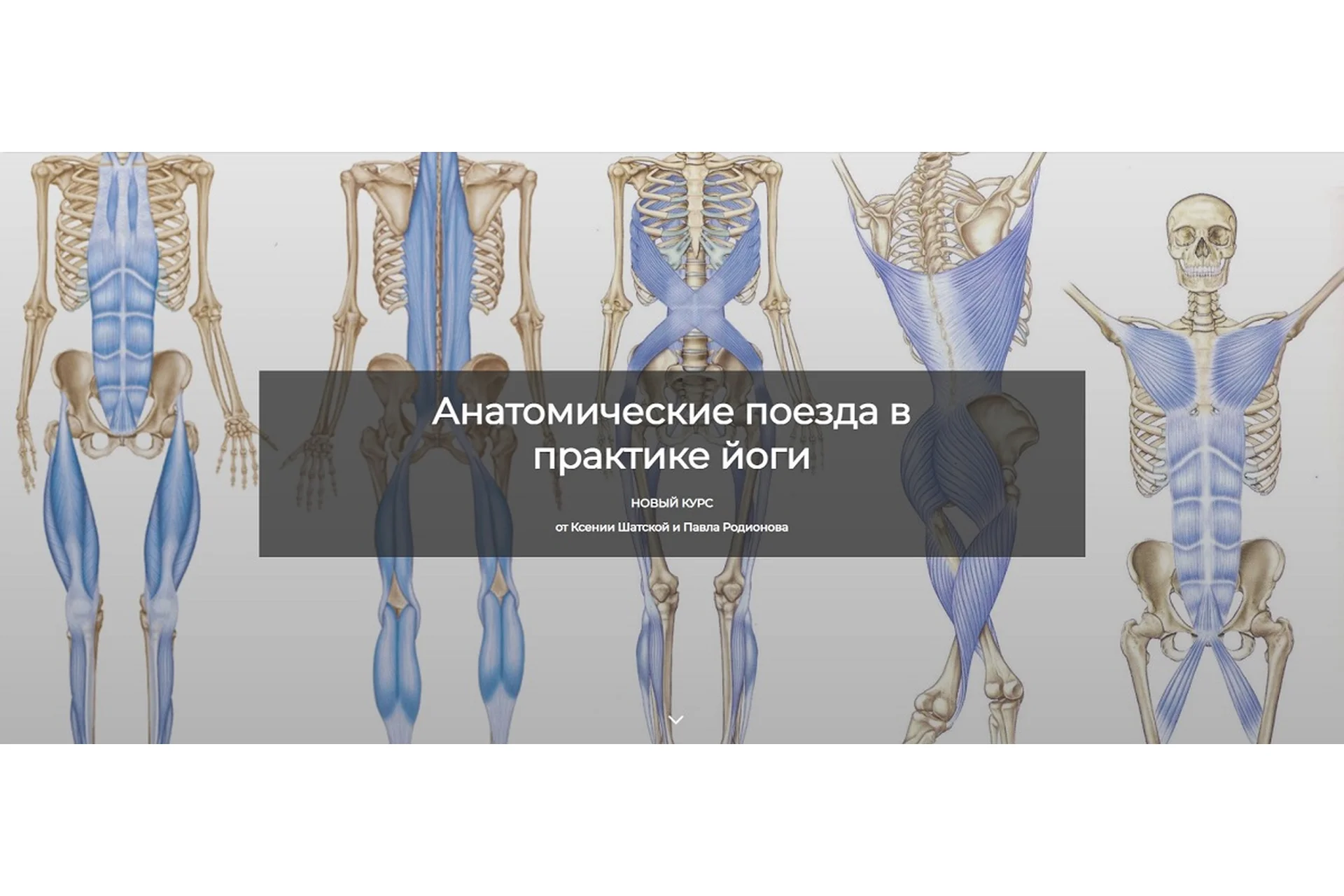 [Basebody] Анатомические поезда в практике йоги (Ксения Шатская, Павел Родионов), фото 1 из 1.