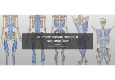 [Basebody] Анатомические поезда в практике йоги (Ксения Шатская, Павел Родионов)