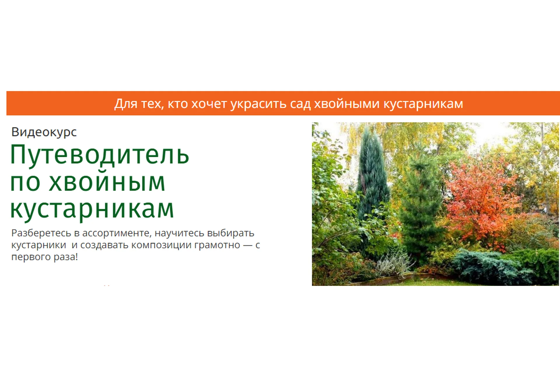 Путеводитель по хвойным кустарникам (Наталья Мягкова), фото 1 из 1.