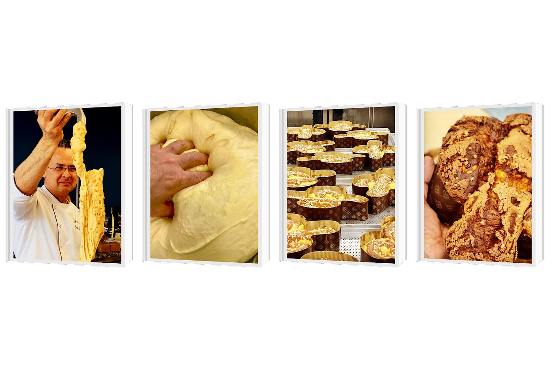 Папушник V2:0 (Игорь Лавришин), фото 1 из 1.