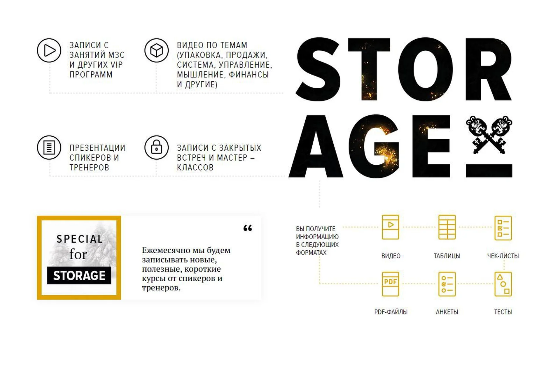 [Бизнес Молодость] МЗС Storage. Подписка на месяц (Петр Осипов, Михаил Дашкиев), фото 1 из 1.