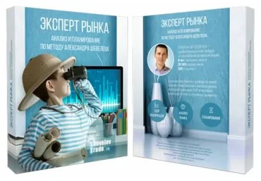 Эксперт рынка. Анализ и планирование по методу Александра Шевелева (Александр Шевелев)