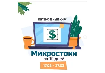 Микростоки за 10 дней (Елена Пышнограй)