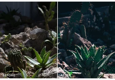 Пейзажные пресеты Cool & Moody,  Lightroom Tones (Nico Hoppe)