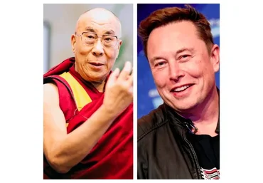 Тайная техника Далай-Маска (Владимир Макулов)