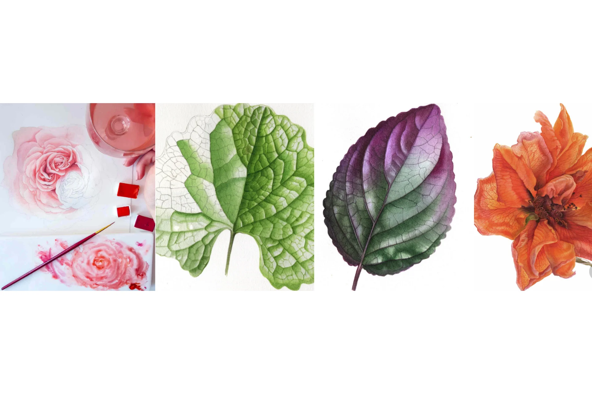 [Lectoroom] Ботаническая живопись. Реализм (Светлана Лансе), фото 1 из 1.