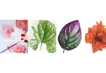 [Lectoroom] Ботаническая живопись. Реализм (Светлана Лансе)