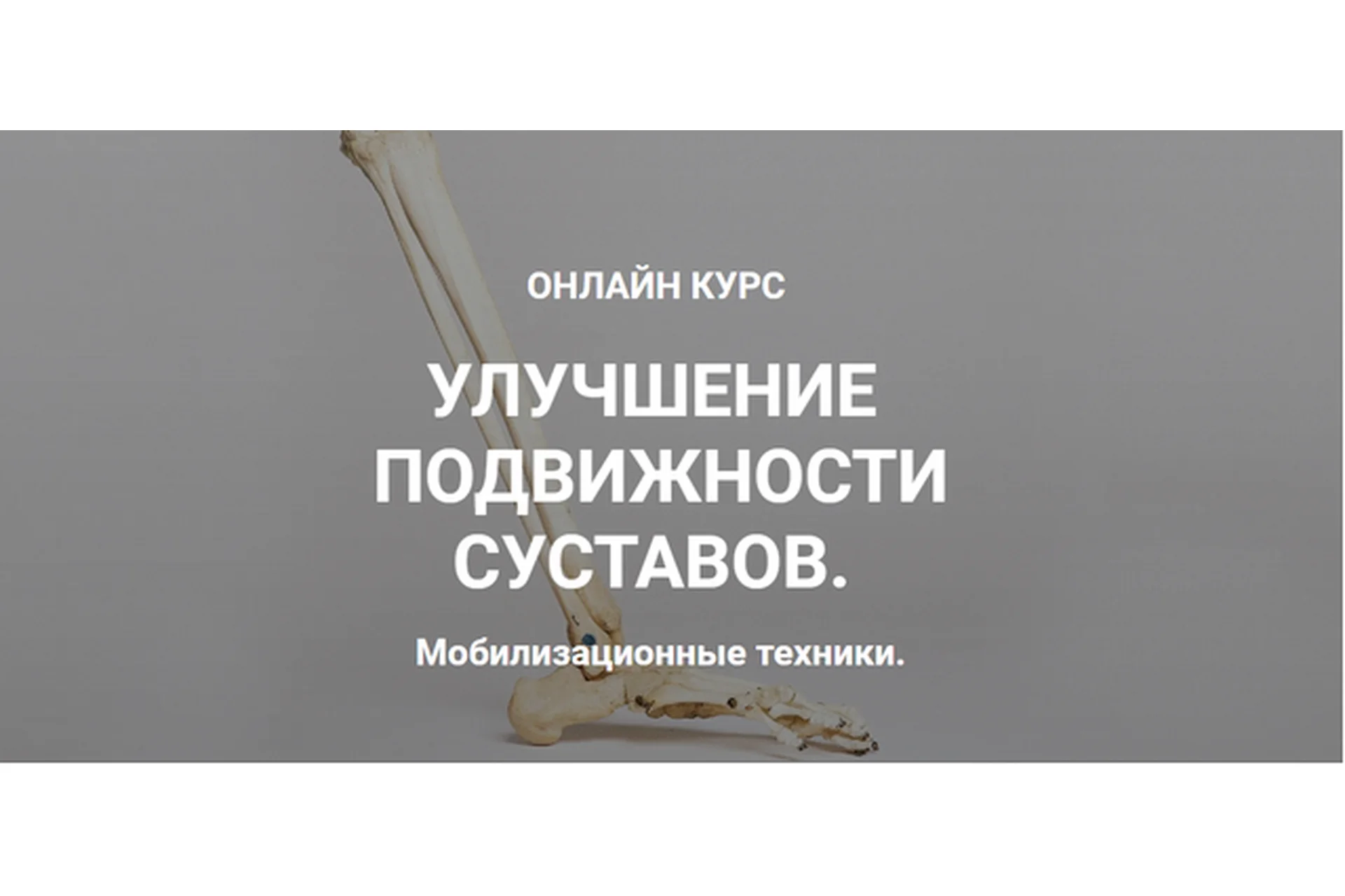 Улучшение подвижности суставов. Мобилизационные техники  (Андрей Богатырев, Александр Семенов), фото 1 из 1.