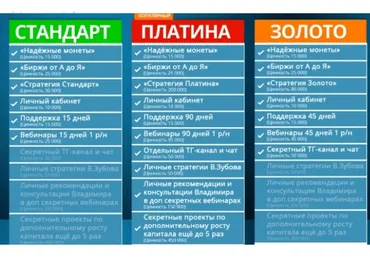 Заработок биткоинов. Программа Х8 (Алексей Виноград, Владимир Зубов)