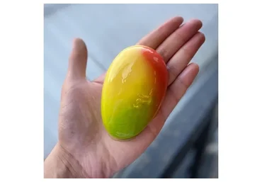 Муссовое пирожное Манго (Саба Джанджгава)