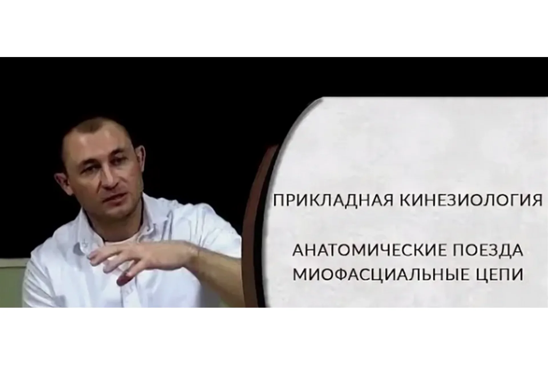 Прикладная кинезиология. Анатомические поезда. Миофасциальные цепи (Антон Циванюк), фото 1 из 1.