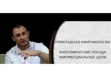 Прикладная кинезиология. Анатомические поезда. Миофасциальные цепи (Антон Циванюк)