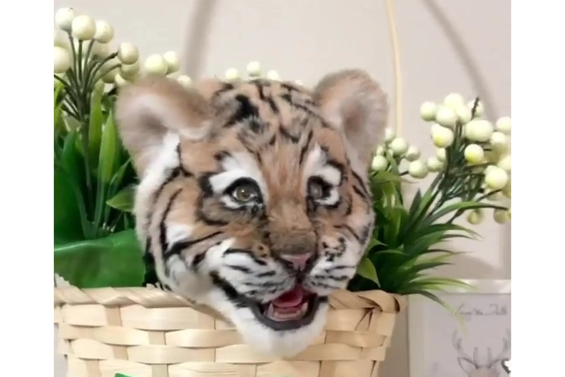 Силиконовая пасть хищника и закрывающиеся глаза (Екатерина Сосина), фото 1 из 1.