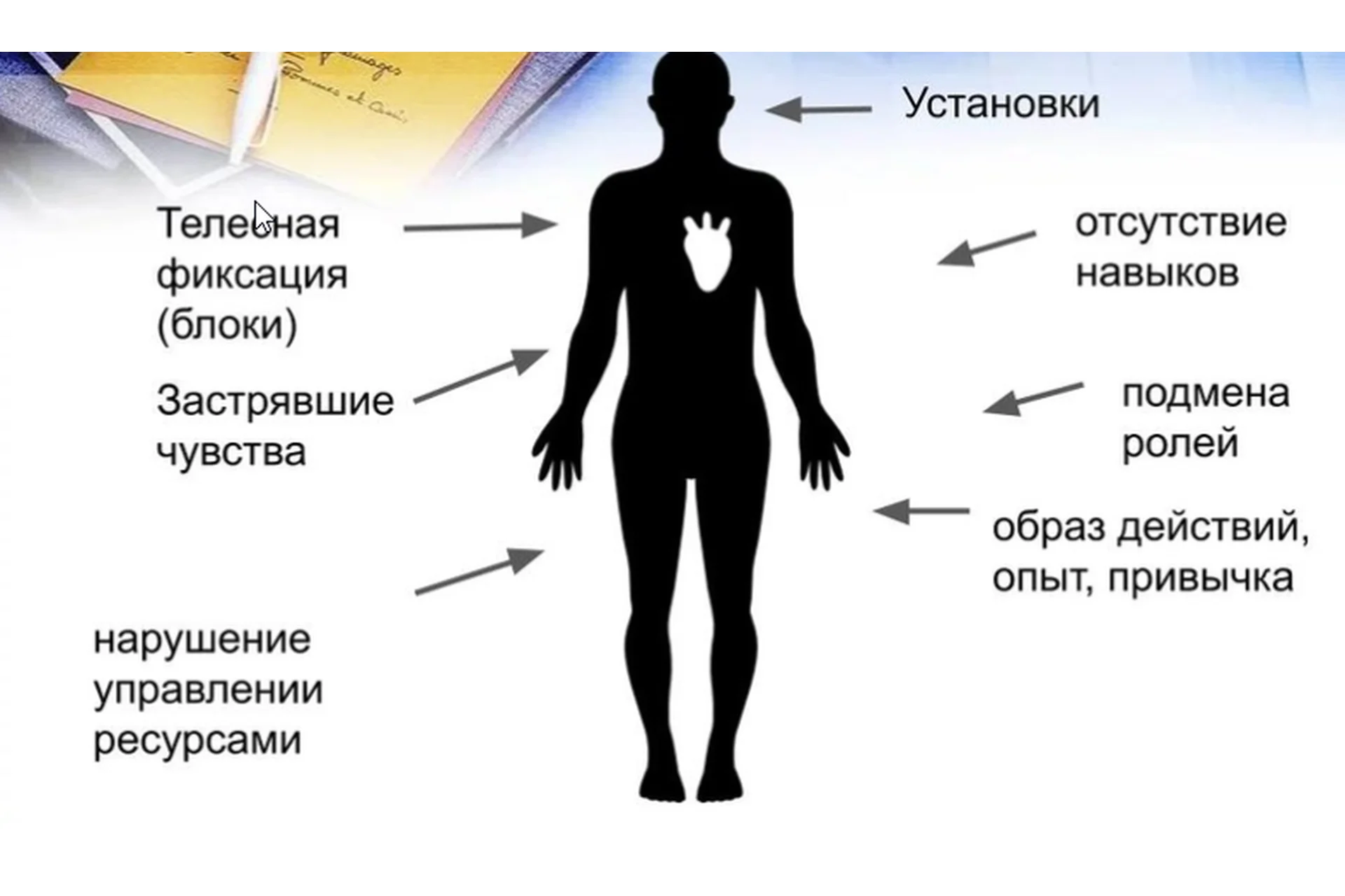 Метод Универсальных Трансформаций. Пакет Базовый (Мария Ковалева), фото 1 из 1.