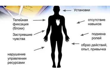 Метод Универсальных Трансформаций. Пакет Базовый (Мария Ковалева)