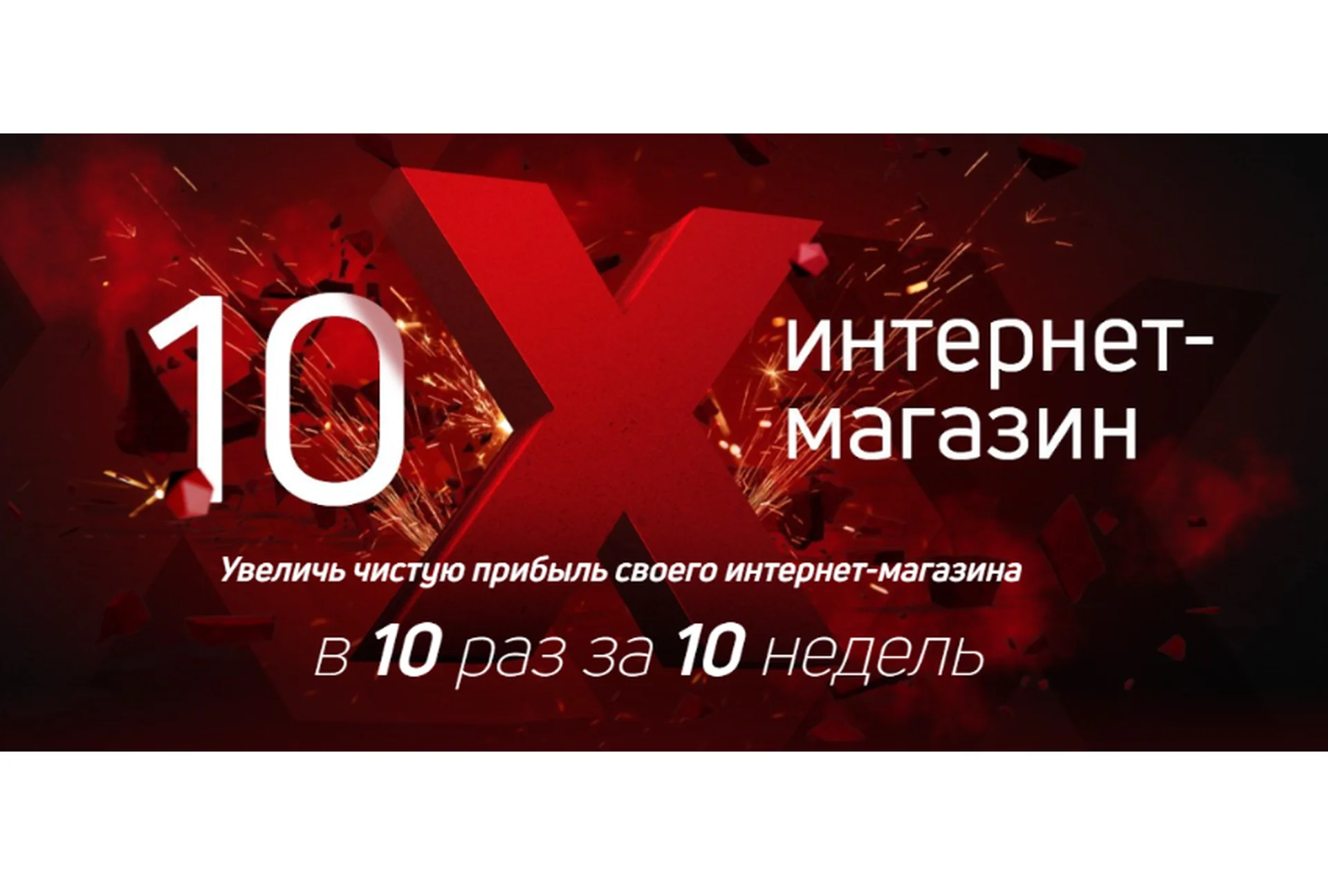 10х интернет-магазин, 2019, пакет «Standart» (Павел Шульга), фото 1 из 1.