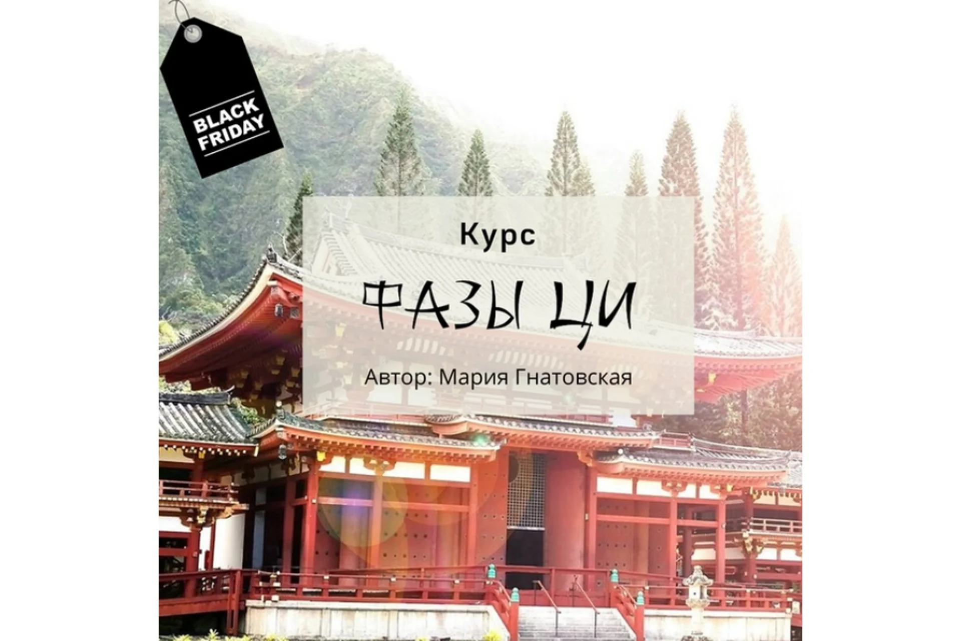 Фазы Ци (Мария Гнатовская), фото 1 из 1.