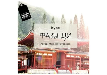 Фазы Ци (Мария Гнатовская)