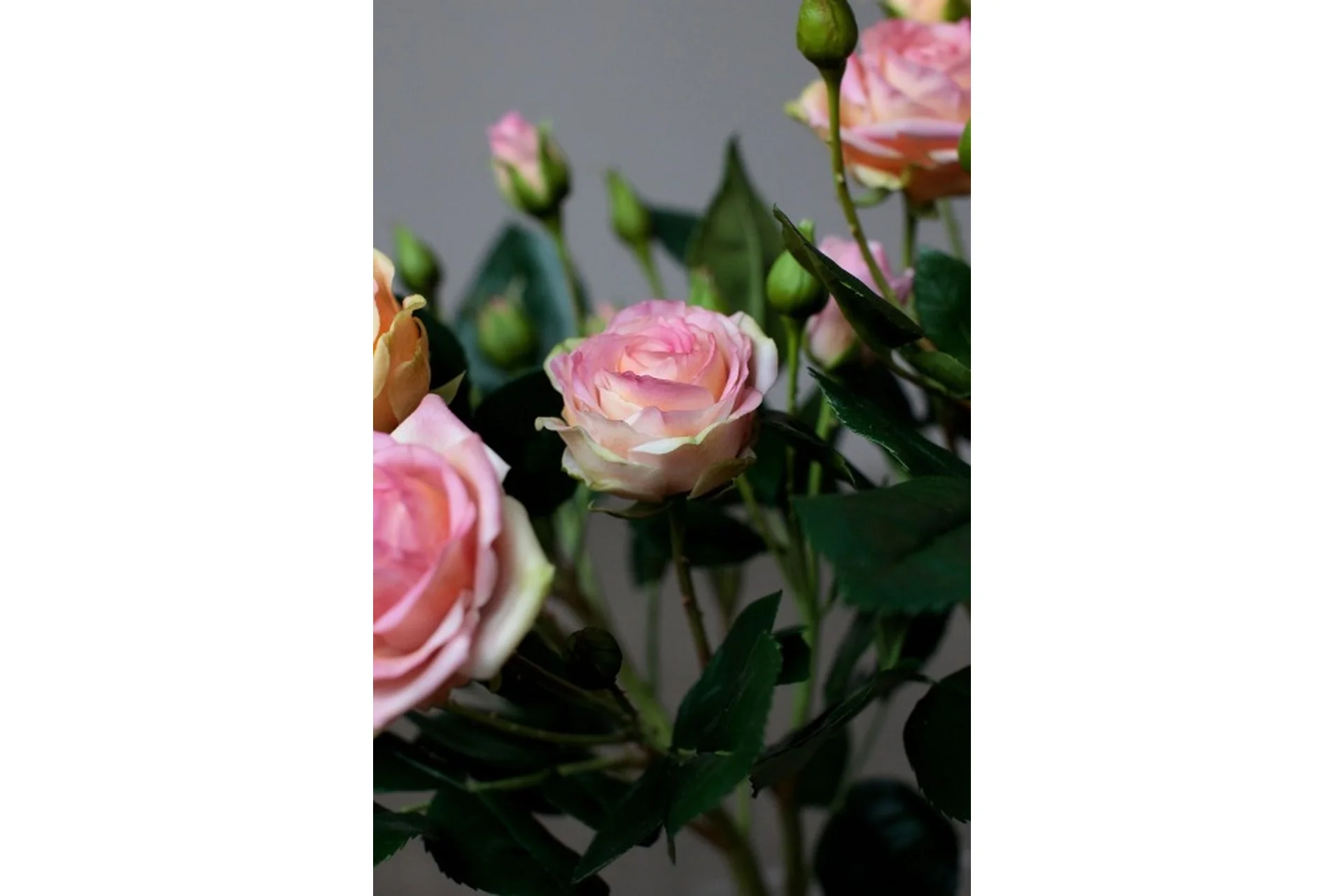 Веточка кустовых роз из полимерной глины (Марина Головина), фото 1 из 1.